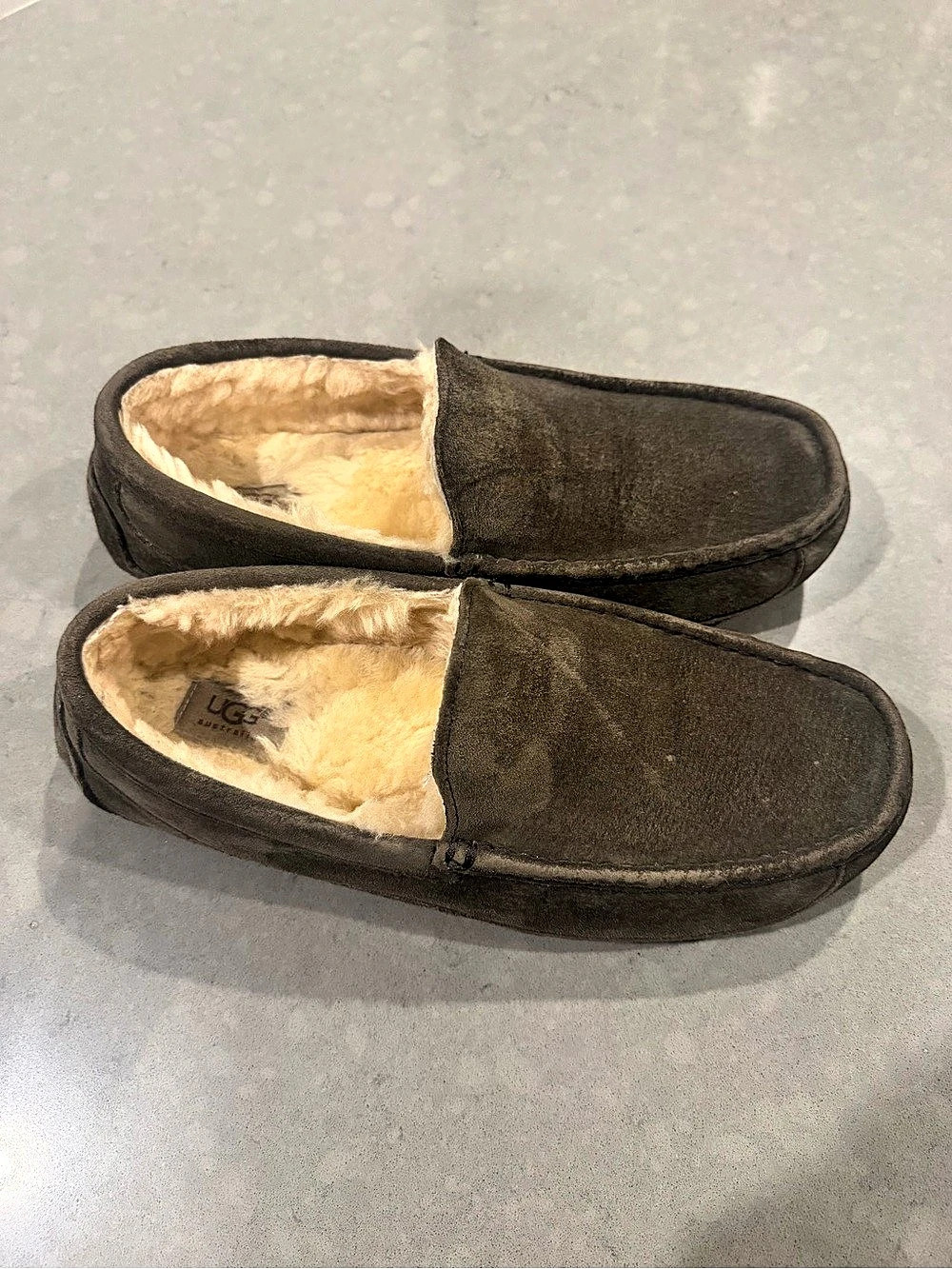 UGG Ascot Slipper Gray Shearling-Lined Slippers